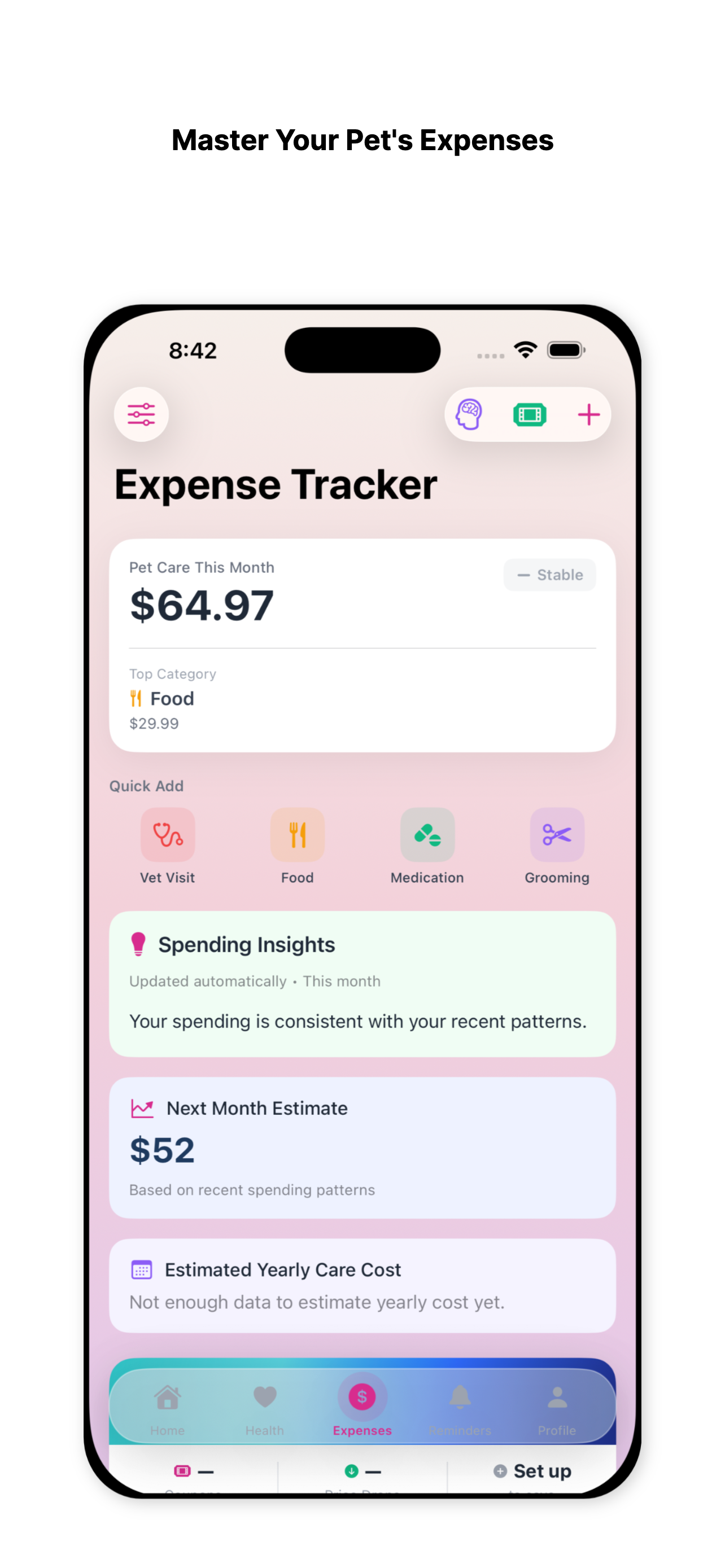 Expense Insights